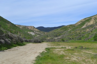 Enlarge photo 148