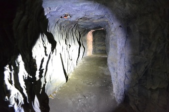 Enlarge photo 171