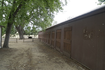 Enlarge photo 103
