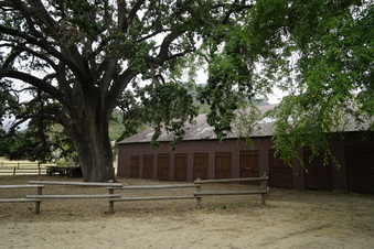 Enlarge photo 104