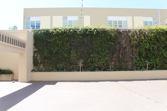 Enlarge photo 80