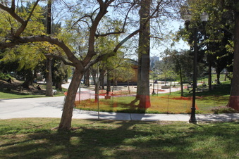 Enlarge photo 160