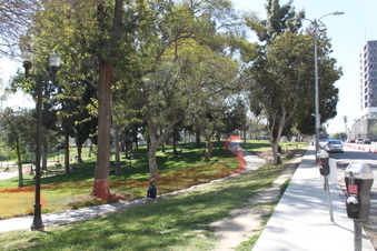 Enlarge photo 161