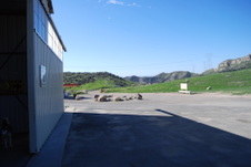 Enlarge photo 6