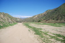 Enlarge photo 95