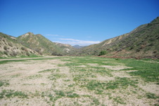 Enlarge photo 96