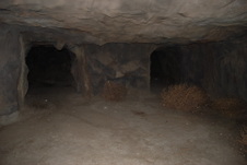 Enlarge photo 113