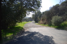 Enlarge photo 168
