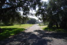 Enlarge photo 170