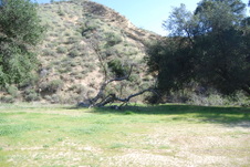 Enlarge photo 171