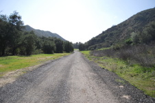Enlarge photo 172