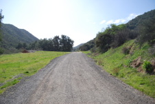 Enlarge photo 173