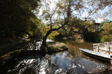 Enlarge photo 150