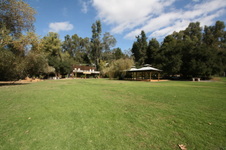 Enlarge photo 151