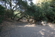 Enlarge photo 156