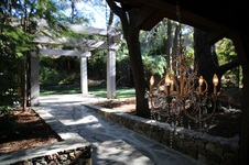 Enlarge photo 55