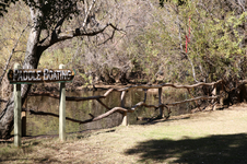 Enlarge photo 39