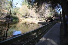 Enlarge photo 90