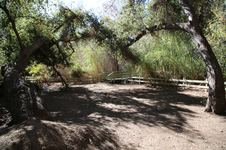 Enlarge photo 116