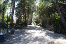 Enlarge photo 128