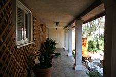 Enlarge photo 197