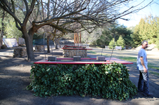 Enlarge photo 41