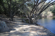 Enlarge photo 129