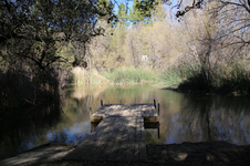 Enlarge photo 43