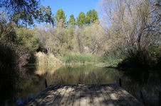 Enlarge photo 130