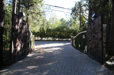 Enlarge photo 137