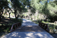 Enlarge photo 138