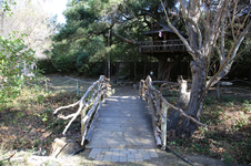 Enlarge photo 141