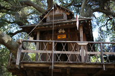 Enlarge photo 145