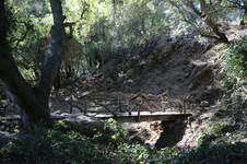 Enlarge photo 146
