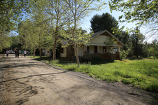 Enlarge photo 384