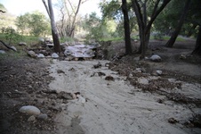 Enlarge photo 21