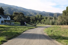 Enlarge photo 45