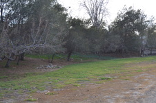 Enlarge photo 108