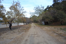 Enlarge photo 109