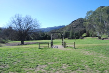Enlarge photo 15