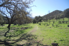 Enlarge photo 66