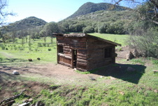 Enlarge photo 67