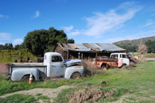 Enlarge photo 26