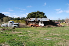 Enlarge photo 37