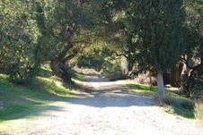 Enlarge photo 53