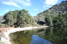 Enlarge photo 54