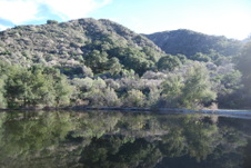 Enlarge photo 55
