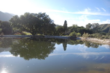 Enlarge photo 56