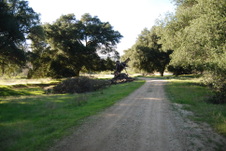 Enlarge photo 57