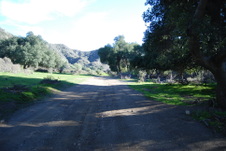 Enlarge photo 58